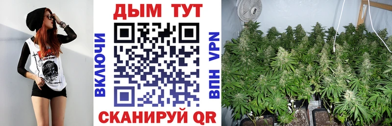 Наркошоп купить МЕТАДОН  Альфа ПВП  ГАШ  Мефедрон  Конопля  Большой Камень