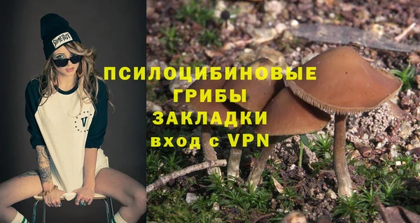 прущие грибы Инсар