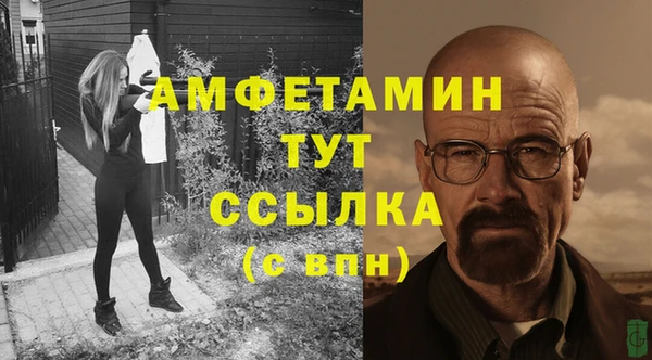 прущие грибы Инсар