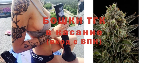 прущие грибы Инсар