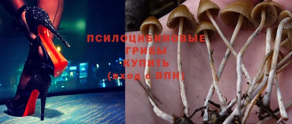 марки lsd Инта