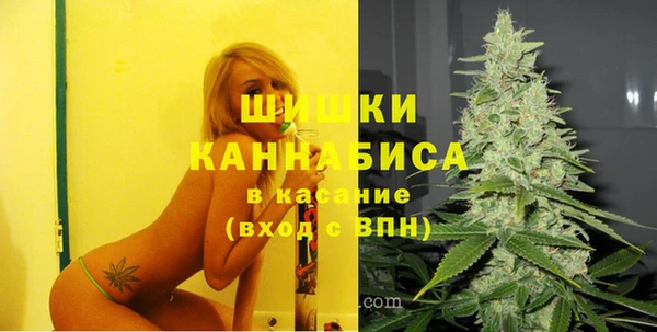 ешки Каменногорск