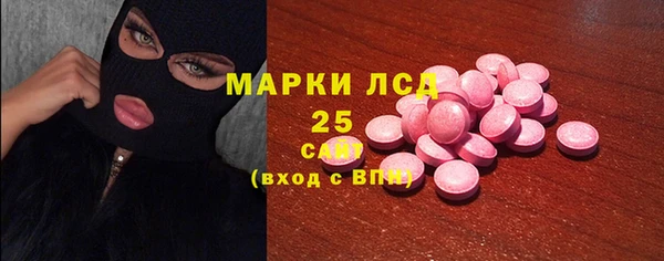 прущие грибы Инсар